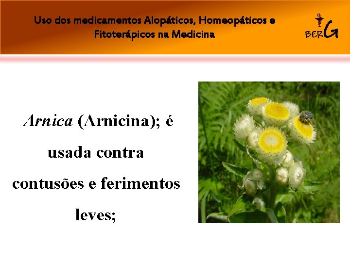 Uso dos medicamentos Alopáticos, Homeopáticos e Fitoterápicos na Medicina Arnica (Arnicina); é usada contra