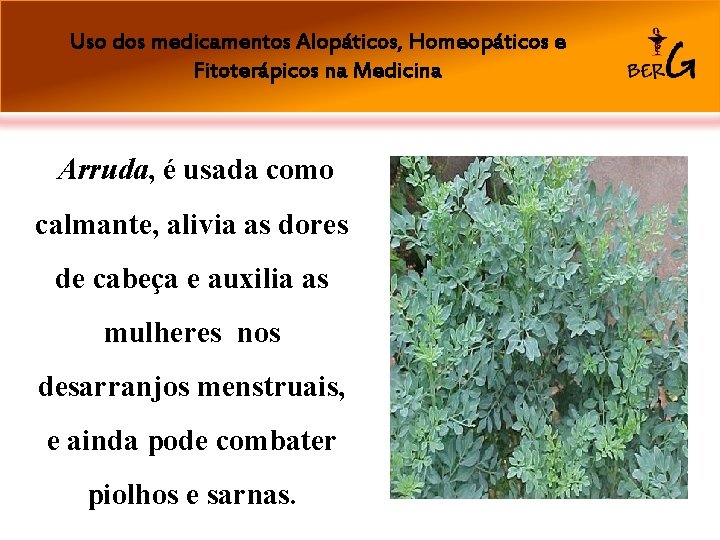 Uso dos medicamentos Alopáticos, Homeopáticos e Fitoterápicos na Medicina Arruda, é usada como calmante,