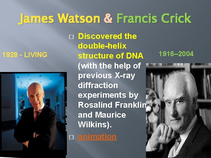 James Watson & Francis Crick � 1928 - LIVING � Discovered the double-helix structure