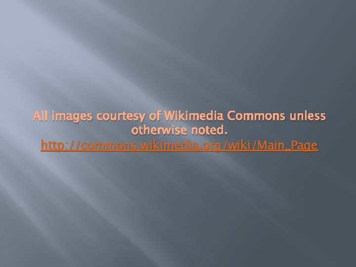 All images courtesy of Wikimedia Commons unless otherwise noted. http: //commons. wikimedia. org/wiki/Main_Page 