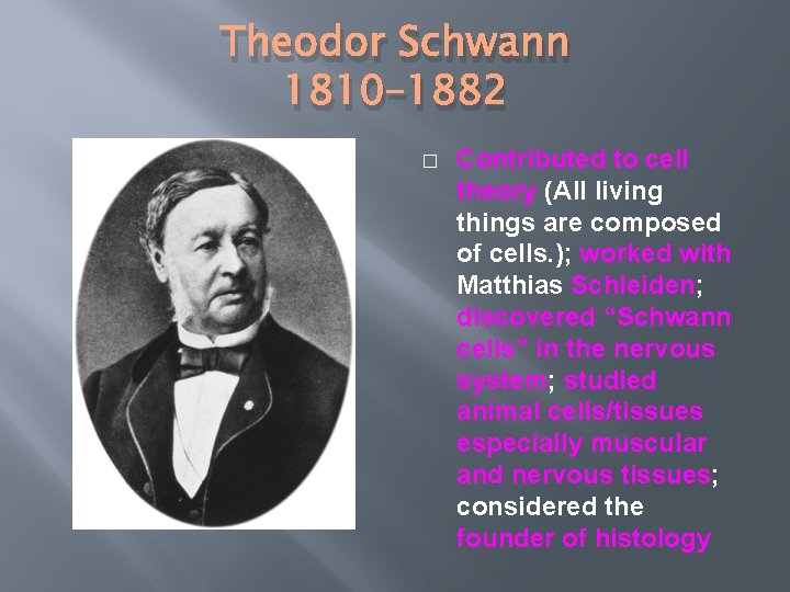 Theodor Schwann 1810– 1882 � Contributed to cell theory (All living things are composed