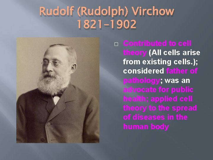 Rudolf (Rudolph) Virchow 1821– 1902 � Contributed to cell theory (All cells arise from