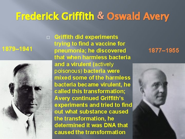 Frederick Griffith & Oswald Avery � 1879– 1941 Griffith did experiments trying to find
