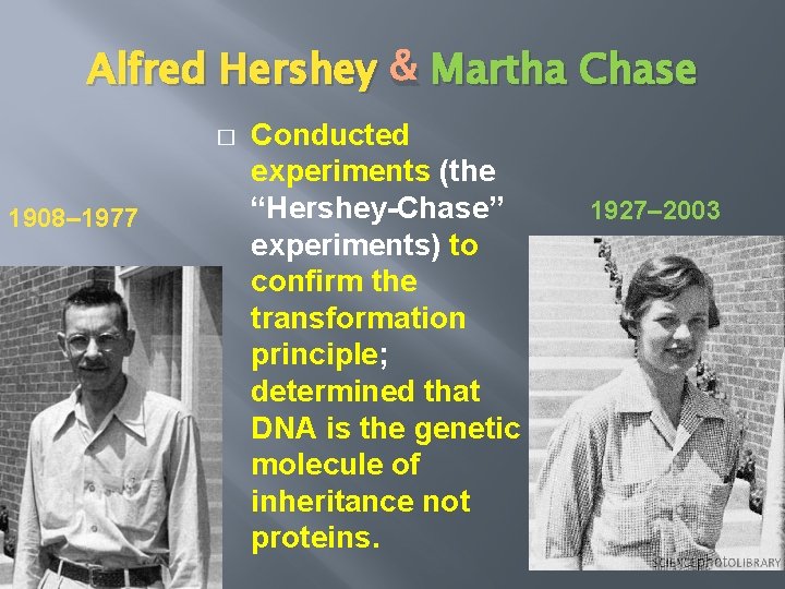 Alfred Hershey & Martha Chase � 1908– 1977 Conducted experiments (the “Hershey-Chase” experiments) to