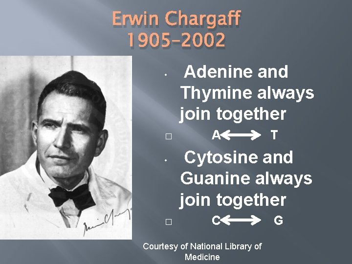 Erwin Chargaff 1905– 2002 • � Adenine and Thymine always join together A T