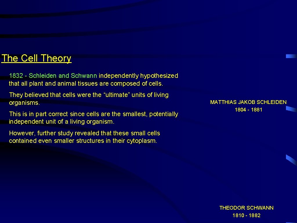 The Cell Theory 1832 - Schleiden and Schwann independently hypothesized that all plant and