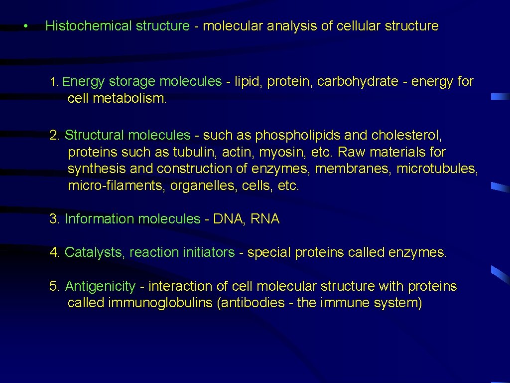  • Histochemical structure - molecular analysis of cellular structure 1. Energy storage molecules