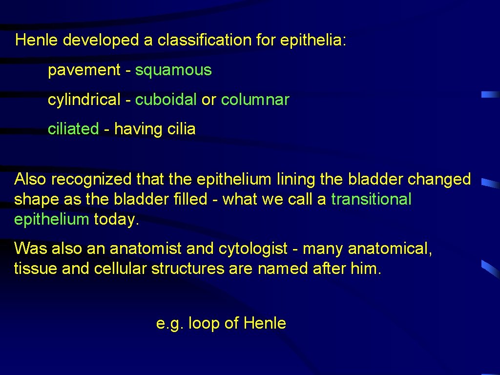 Henle developed a classification for epithelia: pavement - squamous cylindrical - cuboidal or columnar