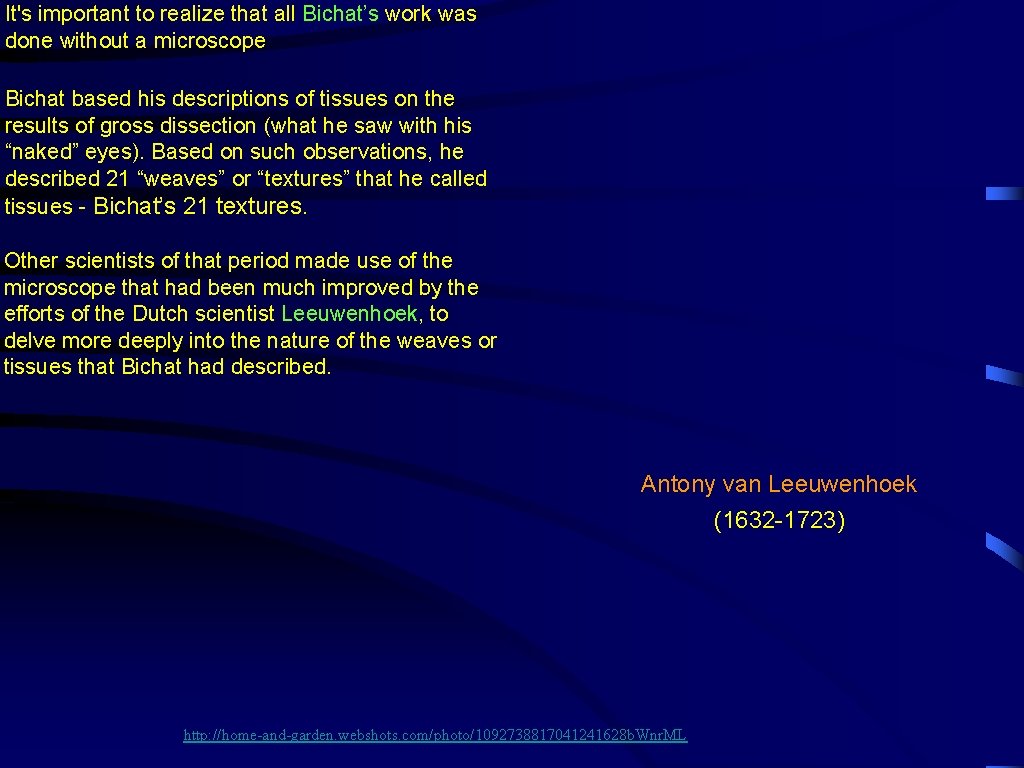 It's important to realize that all Bichat’s work was done without a microscope Bichat