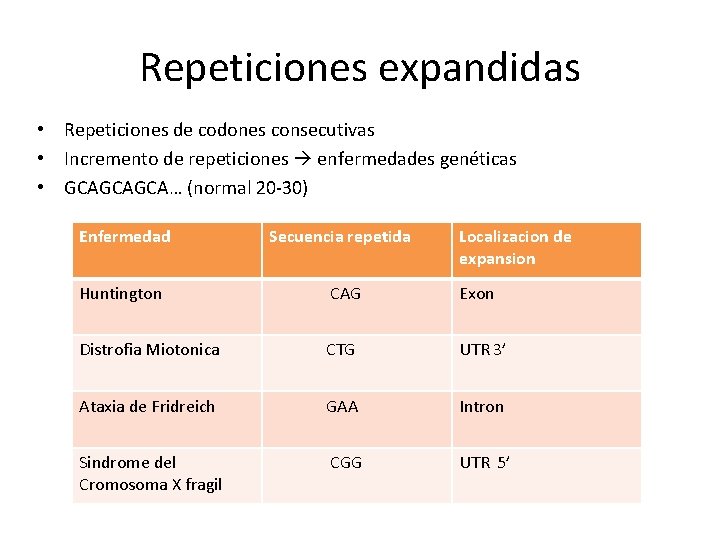 Repeticiones expandidas • Repeticiones de codones consecutivas • Incremento de repeticiones enfermedades genéticas •