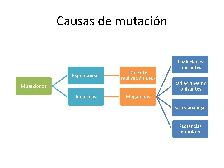 Causas de mutación Espontaneas Durante replicación DNA Mutaciones Inducidas Radiaciones ionizantes Radiaciones no ionizantes