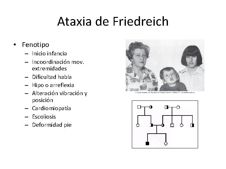 Ataxia de Friedreich • Fenotipo – Inicio infancia – Incoordinación mov. extremidades – Dificultad