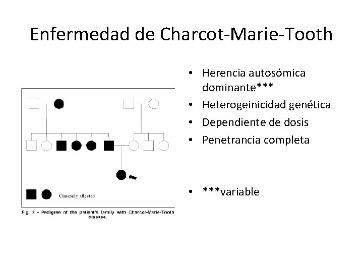 Enfermedad de Charcot-Marie-Tooth • Herencia autosómica dominante*** • Heterogeinicidad genética • Dependiente de dosis