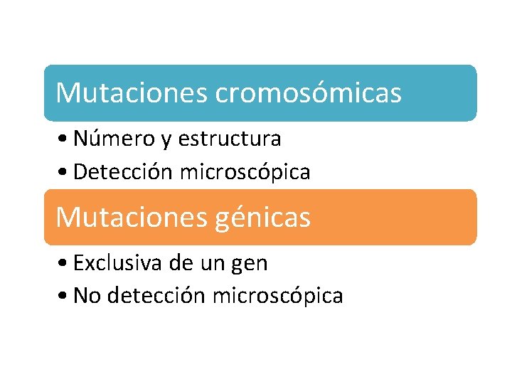 Mutaciones cromosómicas • Número y estructura • Detección microscópica Mutaciones génicas • Exclusiva de