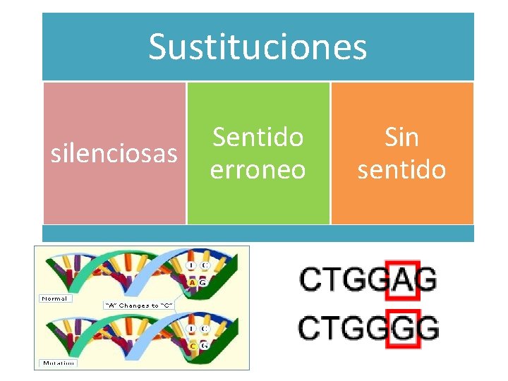 Sustituciones silenciosas Sentido erroneo Sin sentido 