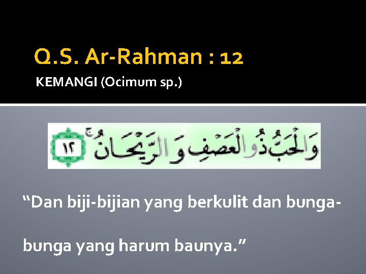 Q. S. Ar-Rahman : 12 KEMANGI (Ocimum sp. ) “Dan biji-bijian yang berkulit dan