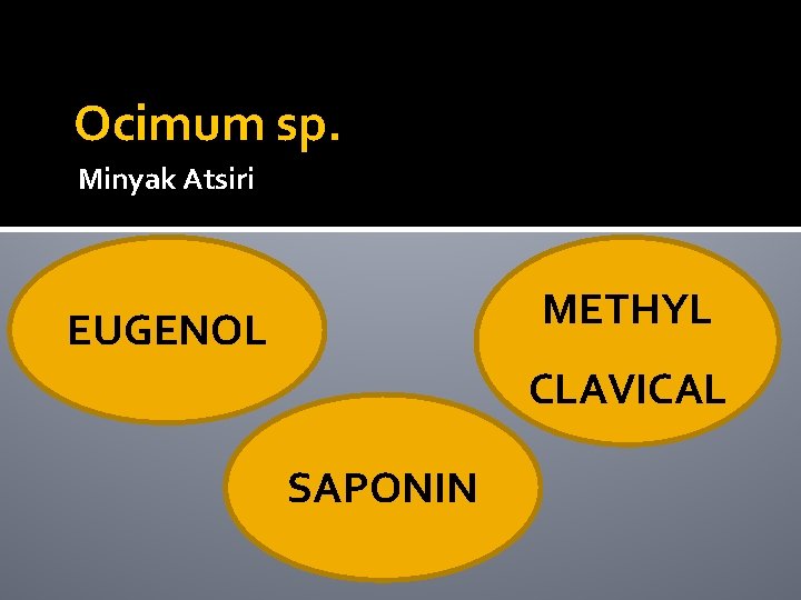 Ocimum sp. Minyak Atsiri METHYL EUGENOL CLAVICAL SAPONIN 