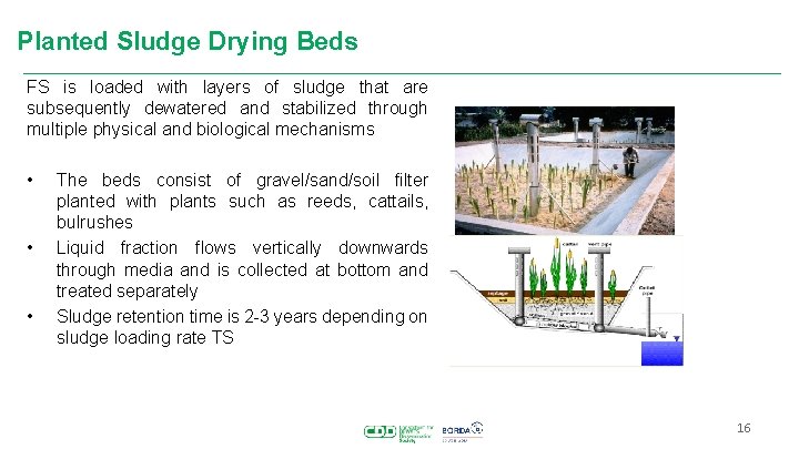 Planted Sludge Drying Beds FS is loaded with layers of sludge that are subsequently