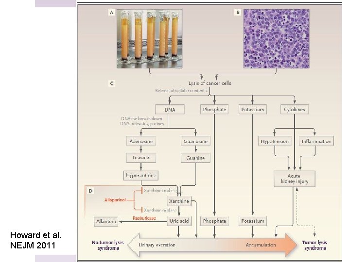 Howard et al, NEJM 2011 