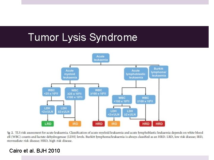 Tumor Lysis Syndrome Cairo et al. BJH 2010 