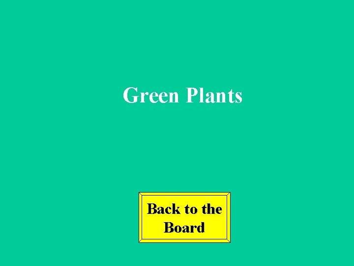Green Plants Back to the Board 