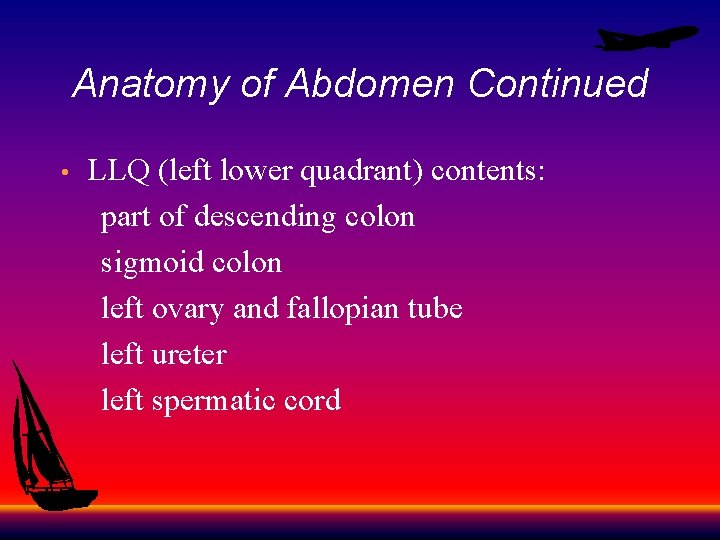 Anatomy of Abdomen Continued LLQ (left lower quadrant) contents: part of descending colon sigmoid