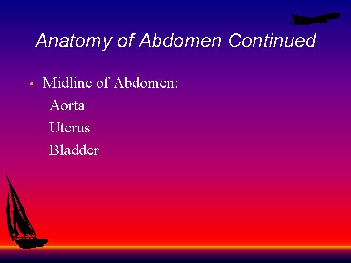 Anatomy of Abdomen Continued Midline of Abdomen: Aorta Uterus Bladder • 