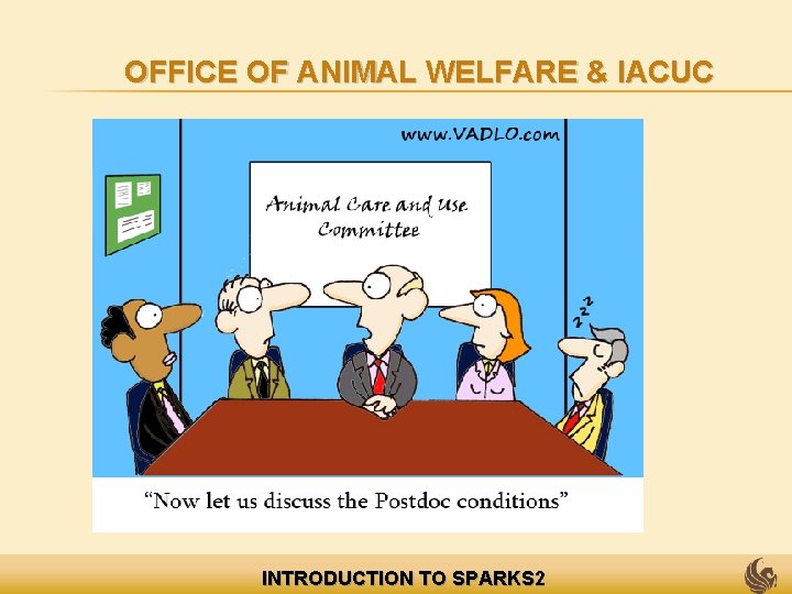 OFFICE OF ANIMAL WELFARE & IACUC INTRODUCTION TO SPARKS 2 