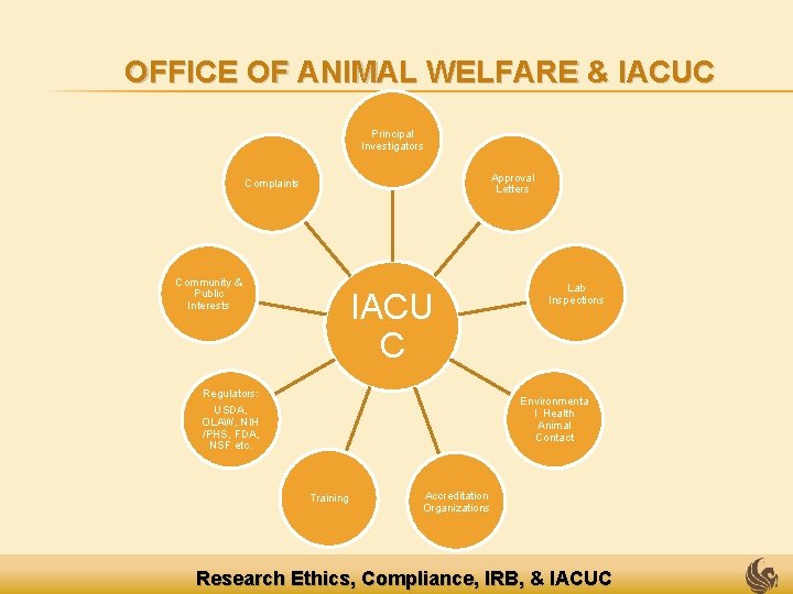 OFFICE OF ANIMAL WELFARE & IACUC Principal Investigators Approval Letters Complaints Community & Public