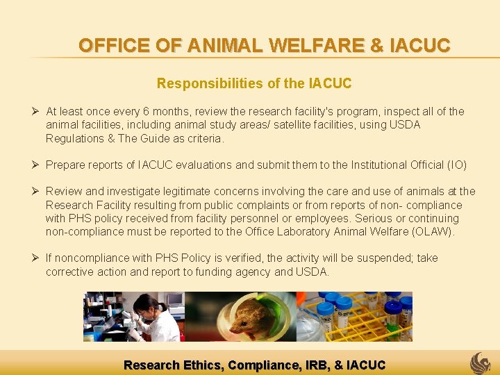 OFFICE OF ANIMAL WELFARE & IACUC Responsibilities of the IACUC Ø At least once