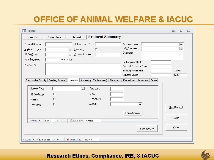 OFFICE OF ANIMAL WELFARE & IACUC Research Ethics, Compliance, IRB, & IACUC 