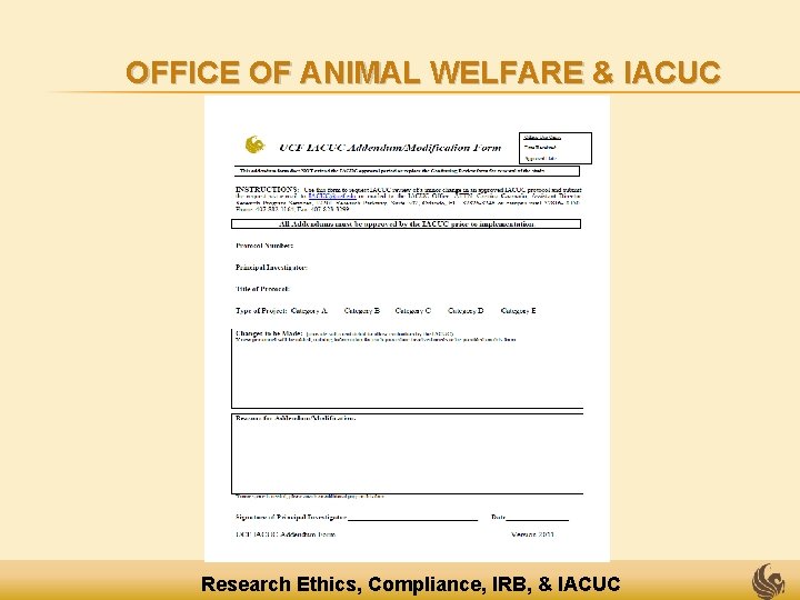 OFFICE OF ANIMAL WELFARE & IACUC Research Ethics, Compliance, IRB, & IACUC 