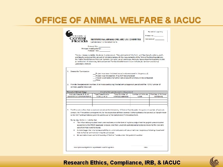 OFFICE OF ANIMAL WELFARE & IACUC Research Ethics, Compliance, IRB, & IACUC 