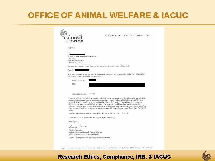 OFFICE OF ANIMAL WELFARE & IACUC Research Ethics, Compliance, IRB, & IACUC 