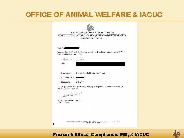 OFFICE OF ANIMAL WELFARE & IACUC Research Ethics, Compliance, IRB, & IACUC 