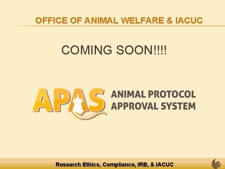 OFFICE OF ANIMAL WELFARE & IACUC COMING SOON!!!! Research Ethics, Compliance, IRB, & IACUC