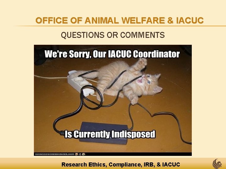 OFFICE OF ANIMAL WELFARE & IACUC QUESTIONS OR COMMENTS Research Ethics, Compliance, IRB, &