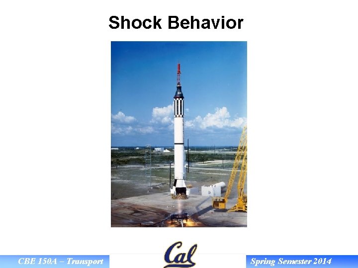 Shock Behavior CBE 150 A – Transport Spring Semester 2014 