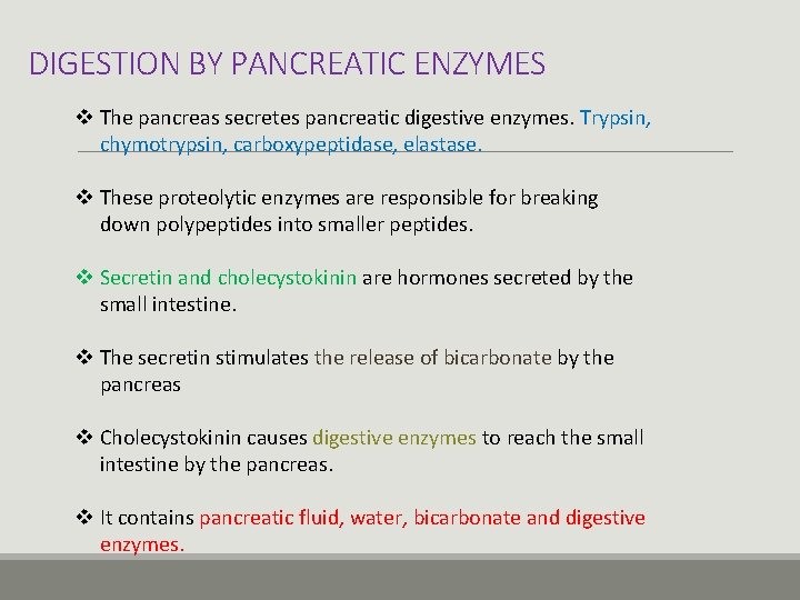 DIGESTION BY PANCREATIC ENZYMES v The pancreas secretes pancreatic digestive enzymes. Trypsin, chymotrypsin, carboxypeptidase,