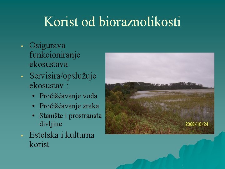 Korist od bioraznolikosti • • Osigurava funkcioniranje ekosustava Servisira/opslužuje ekosustav : • Pročišćavanje voda