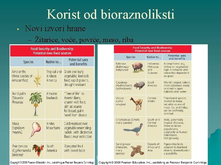 Korist od bioraznoliksti • Novi izvori hrane – Žitarice, voće, povrće, meso, riba 16