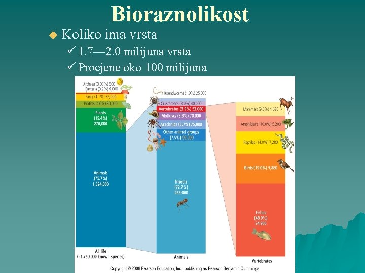 Bioraznolikost u Koliko ima vrsta ü 1. 7— 2. 0 milijuna vrsta ü Procjene