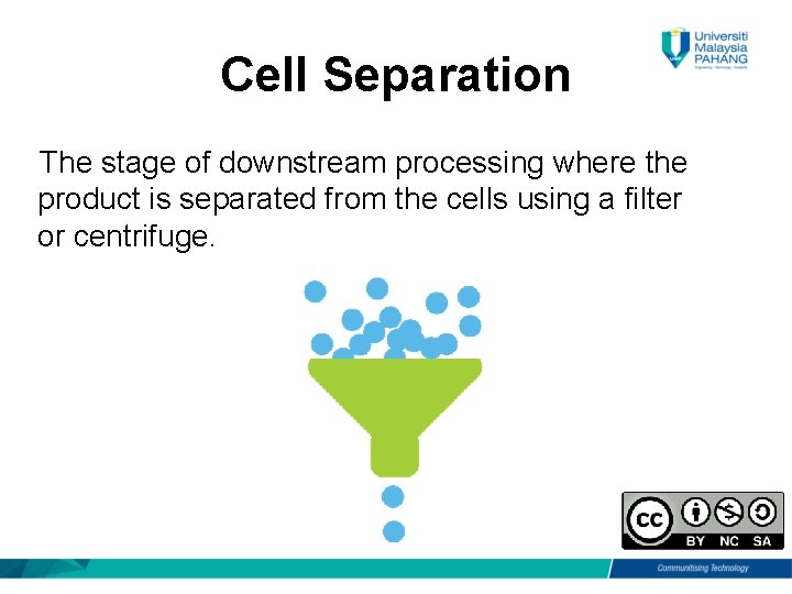 Cell Separation The stage of downstream processing where the product is separated from the