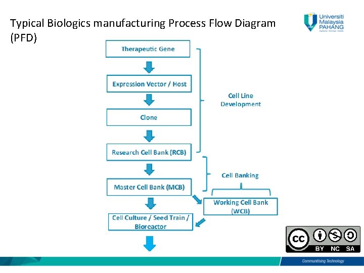 Typical Biologics manufacturing Process Flow Diagram (PFD) 