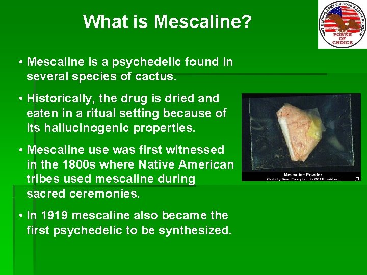 What is Mescaline? • Mescaline is a psychedelic found in several species of cactus.