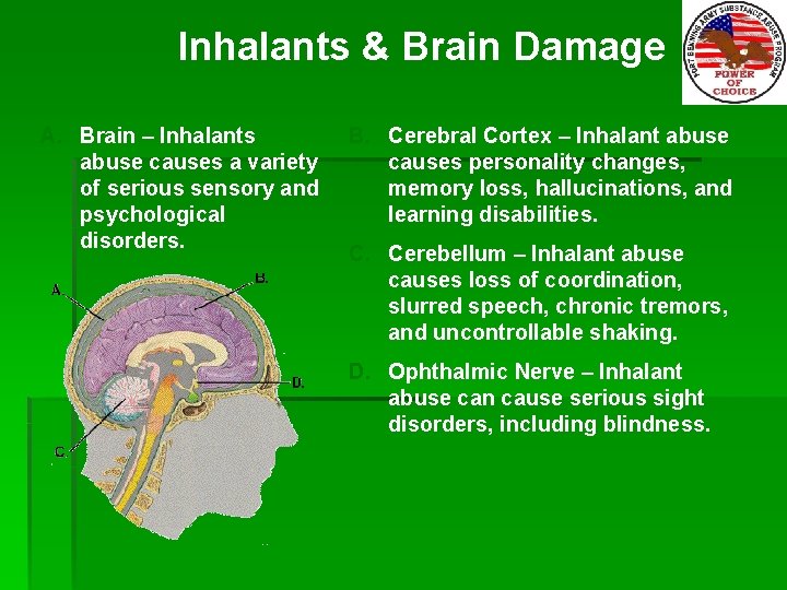 Inhalants & Brain Damage A. Brain – Inhalants abuse causes a variety of serious