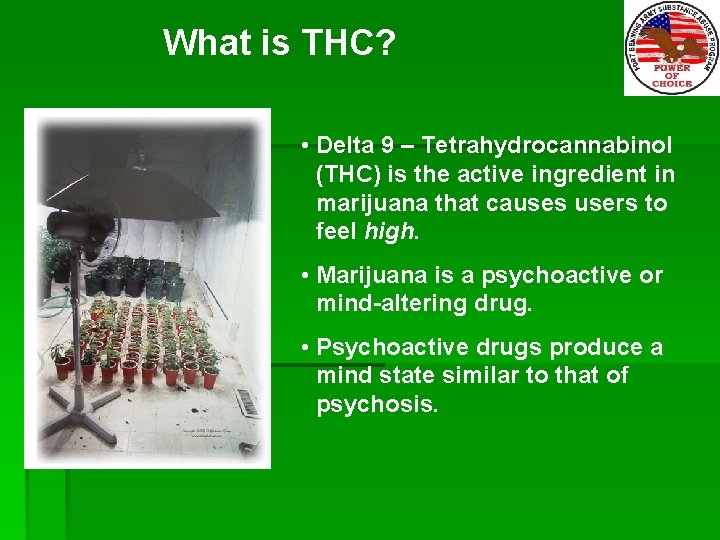 What is THC? • Delta 9 – Tetrahydrocannabinol (THC) is the active ingredient in