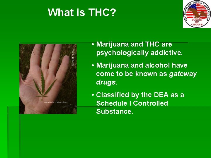 What is THC? • Marijuana and THC are psychologically addictive. • Marijuana and alcohol