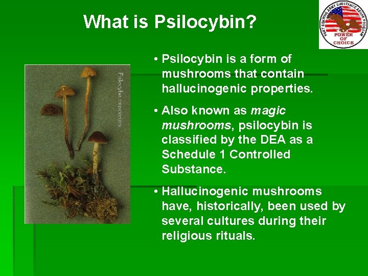 What is Psilocybin? • Psilocybin is a form of mushrooms that contain hallucinogenic properties.