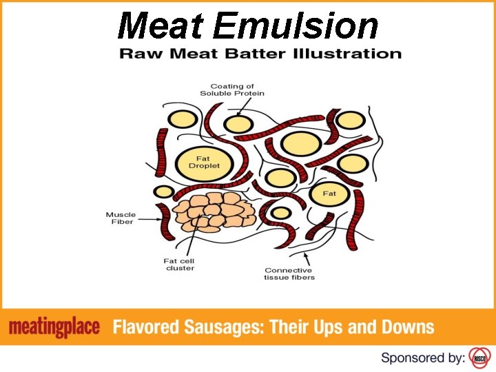 FLAVORED SAUSAGES Their Ups and Downs HOST Bill